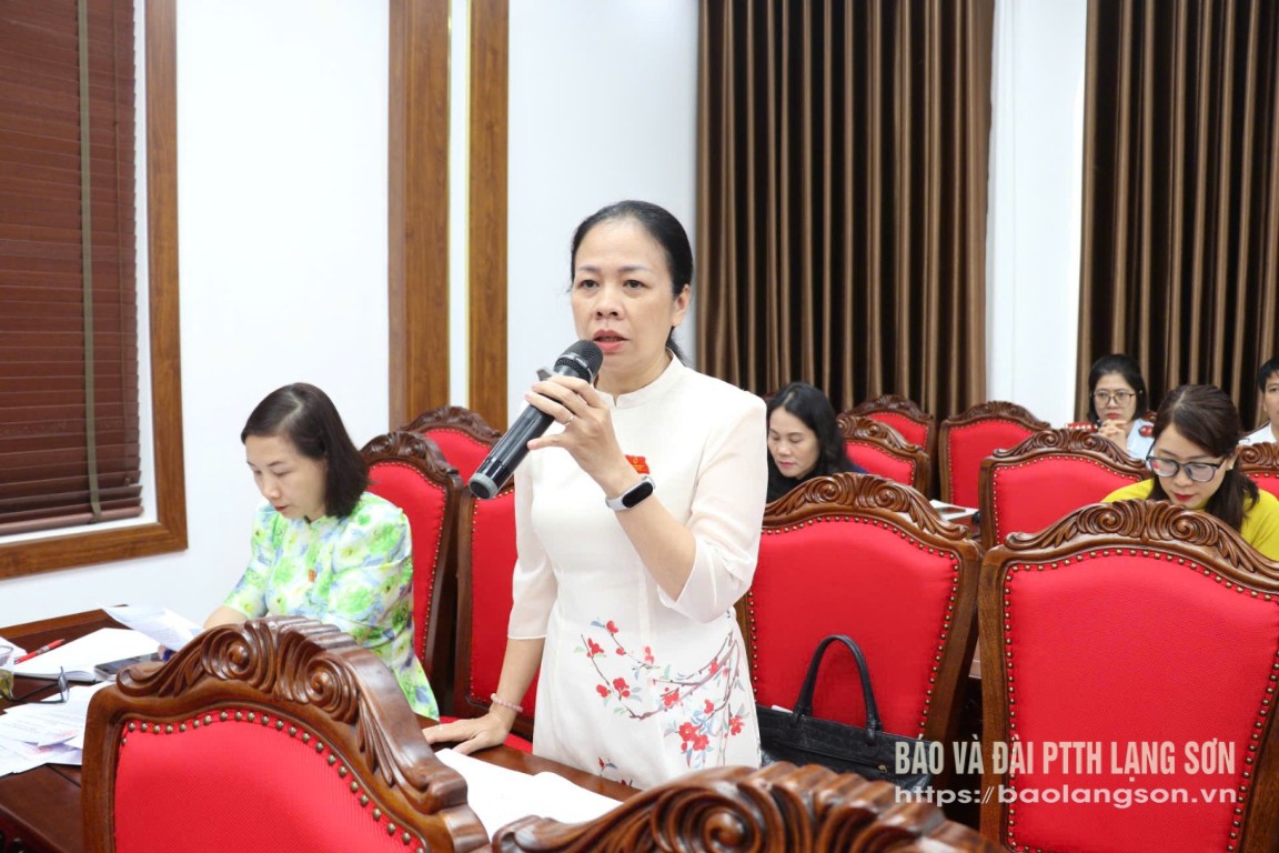 Đại biểu HĐND thành phố phát biểu tại kỳ họp